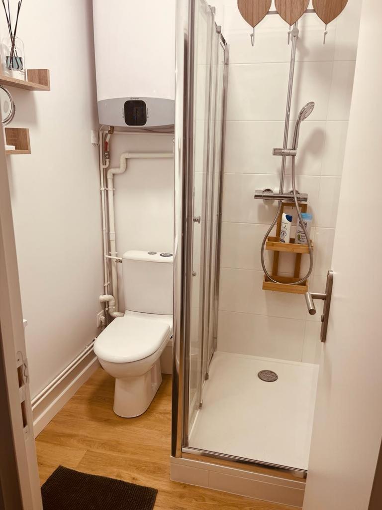 Mignon Petit 16m2 Apartment